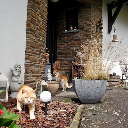 B&B Au Coq En Pate Jalhay Eksteriør billede