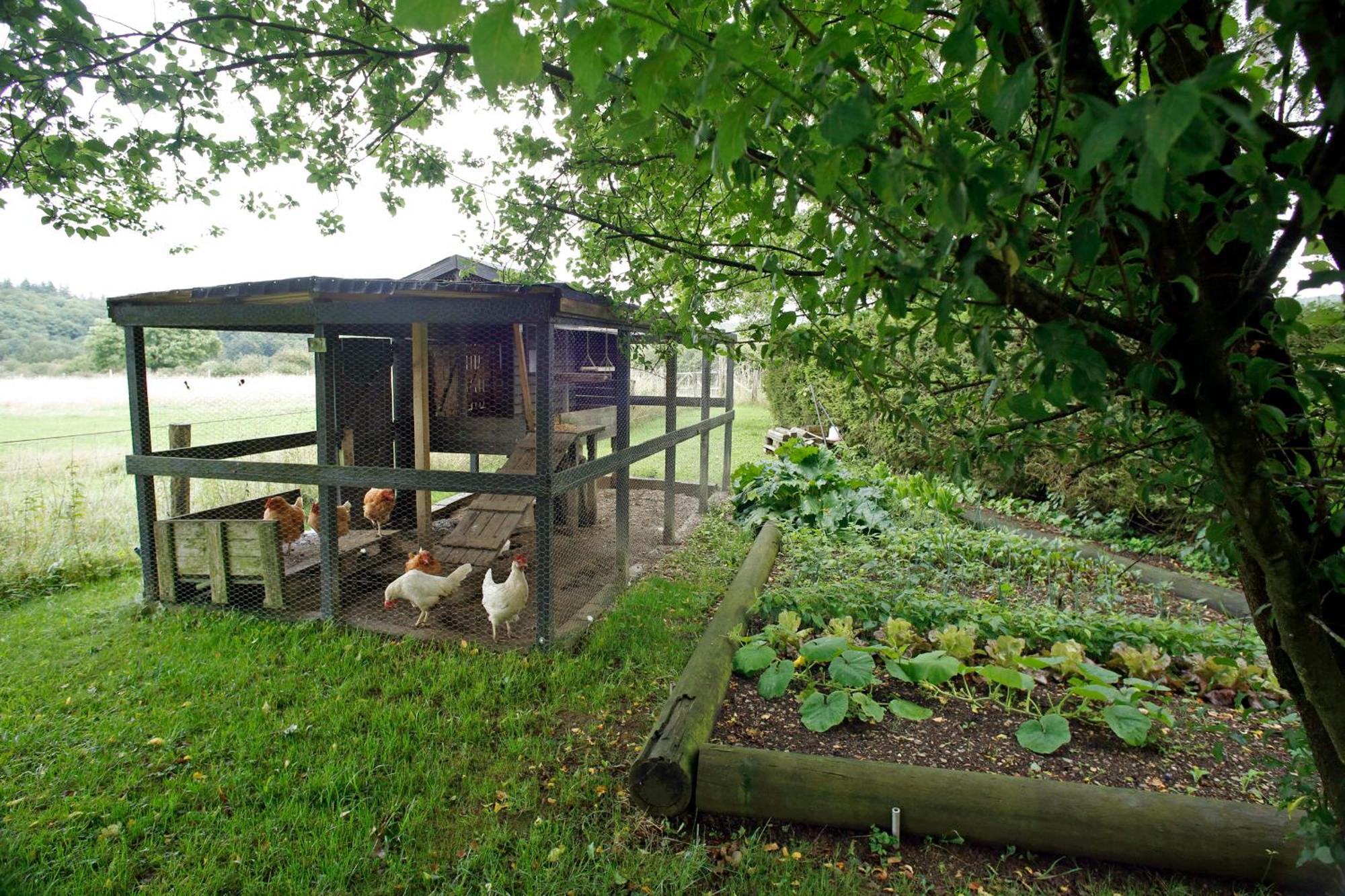 B&B Au Coq En Pate Jalhay Eksteriør billede