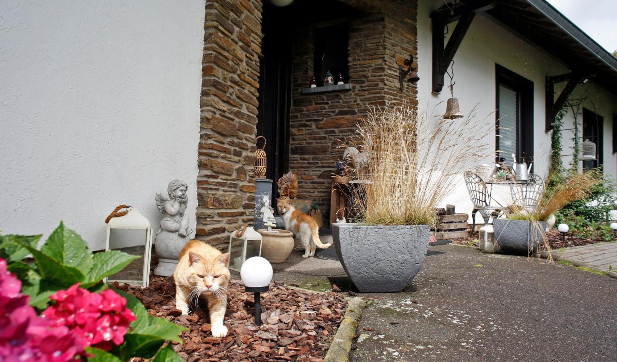 B&B Au Coq En Pate Jalhay Eksteriør billede